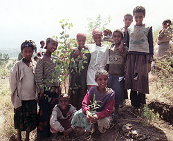 植林する子供たち
